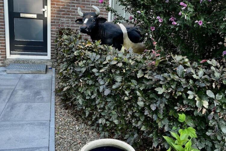 Cozy Holiday Home In Elim With A Furnished Garden 외부 사진